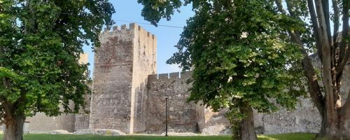 Tvrđave na Dunavu - izlet po istočnoj Srbiji