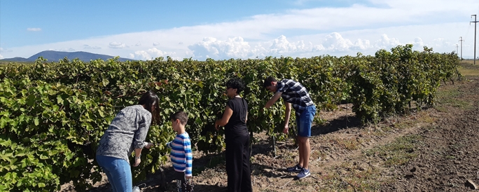Vr&scaron;ac - vinogradarski kraj